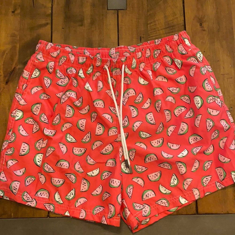 98 Coast Av Swim Trunks